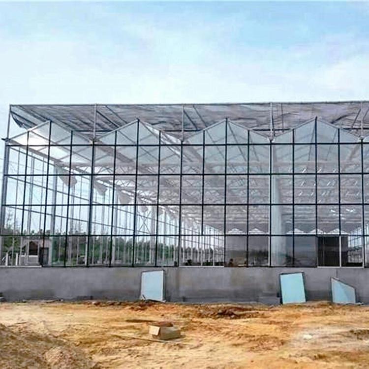 承建玻璃大棚 玻璃温室 蘑菇温室玻璃大棚