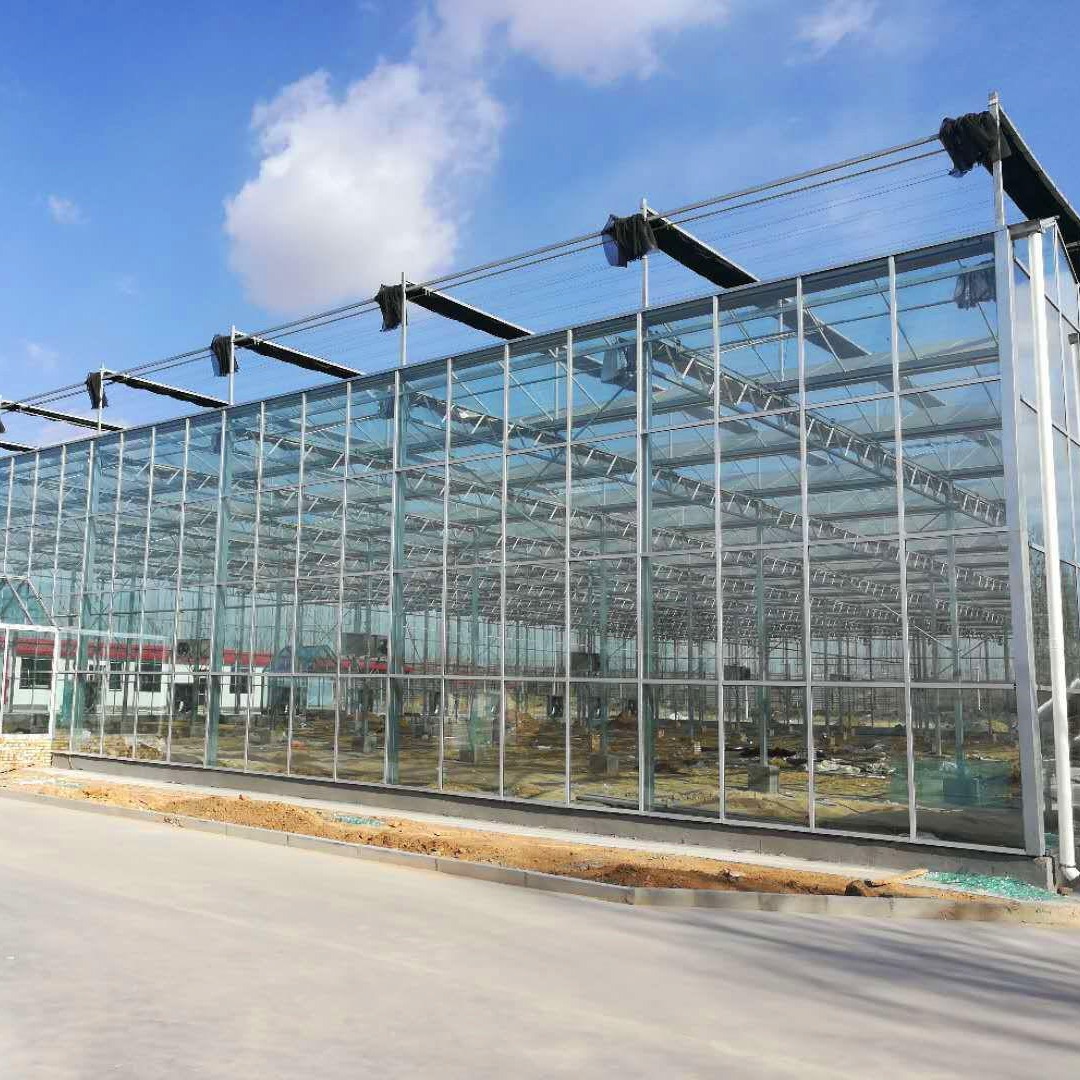 博伟 玻璃温室 盆景玻璃大棚 智能玻璃温室