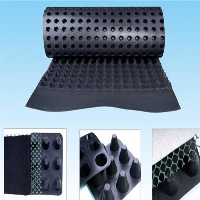 厂家销售 西安20mm排水板 车库顶板塑料疏水板；HDPE草石隔离带图片