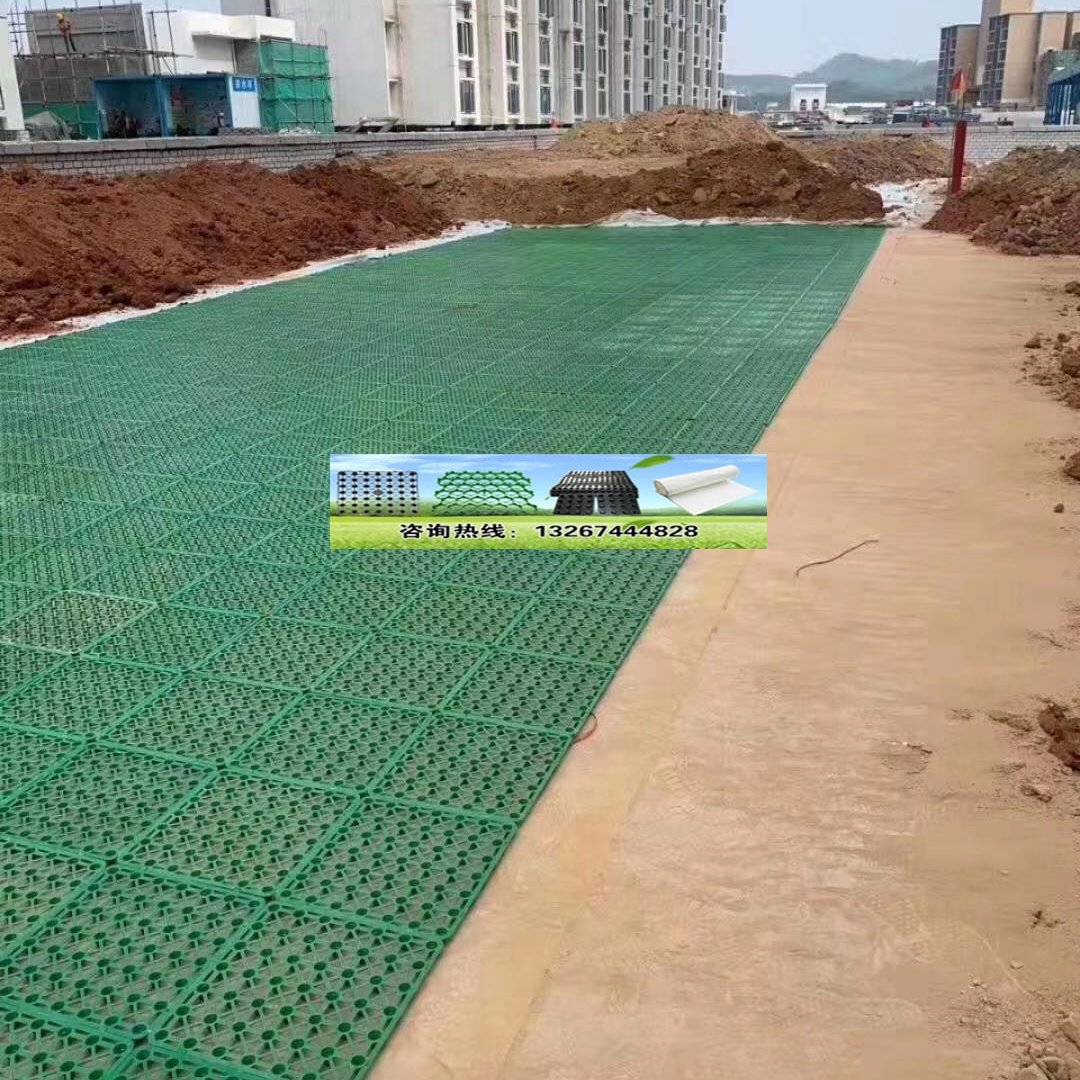 绿奥塑胶建材 植草格 生产厂家 定位东莞