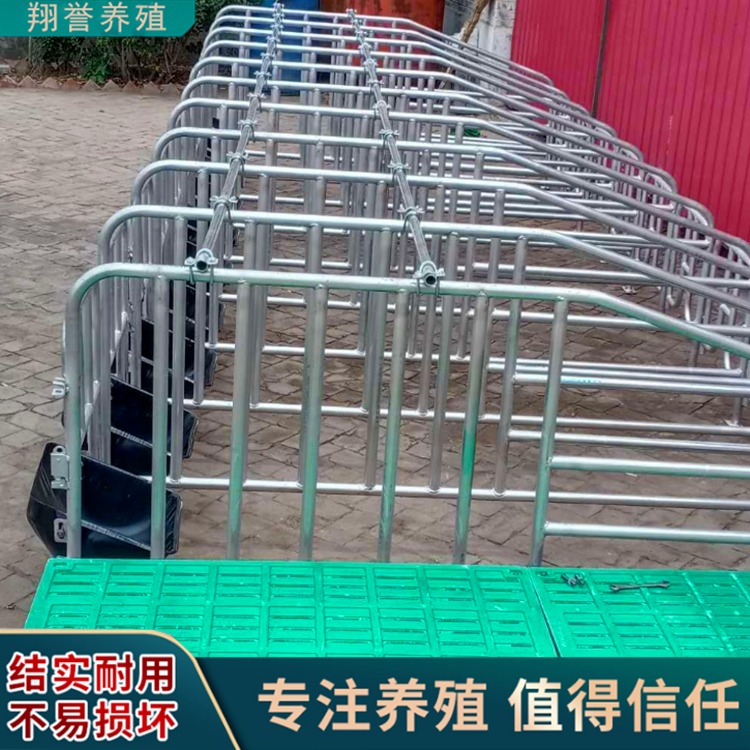 国标热镀锌母猪限位栏 翔誉育肥猪定位栏  每套10个猪位为一组