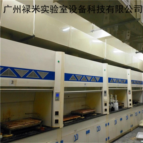 禄米实验室生产定制玻璃钢通风柜 通风橱 排毒柜 排风柜批发LM-TFG82601