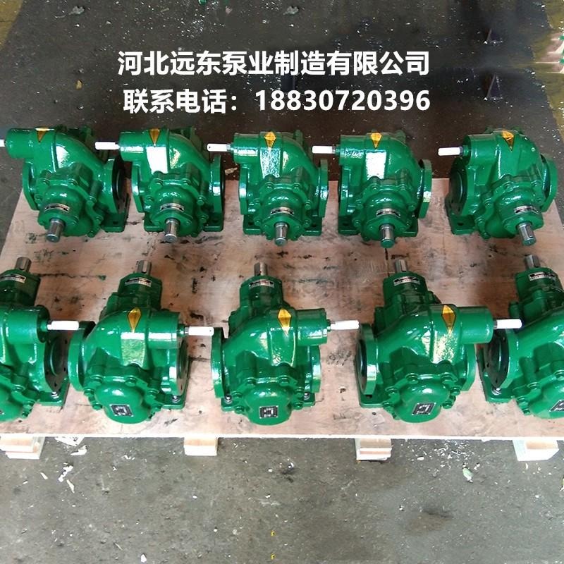 KCB300齿轮泵是燃油喷射泵 输送糖稀泵  铸铁和不锈钢材质-泊远东图片