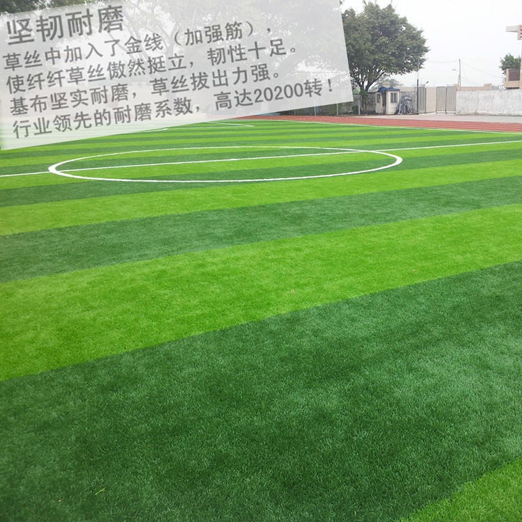 专业足球场人造草坪 篮球场人造草坪价格 网球场人造草坪厂家 棒球场人造草施工