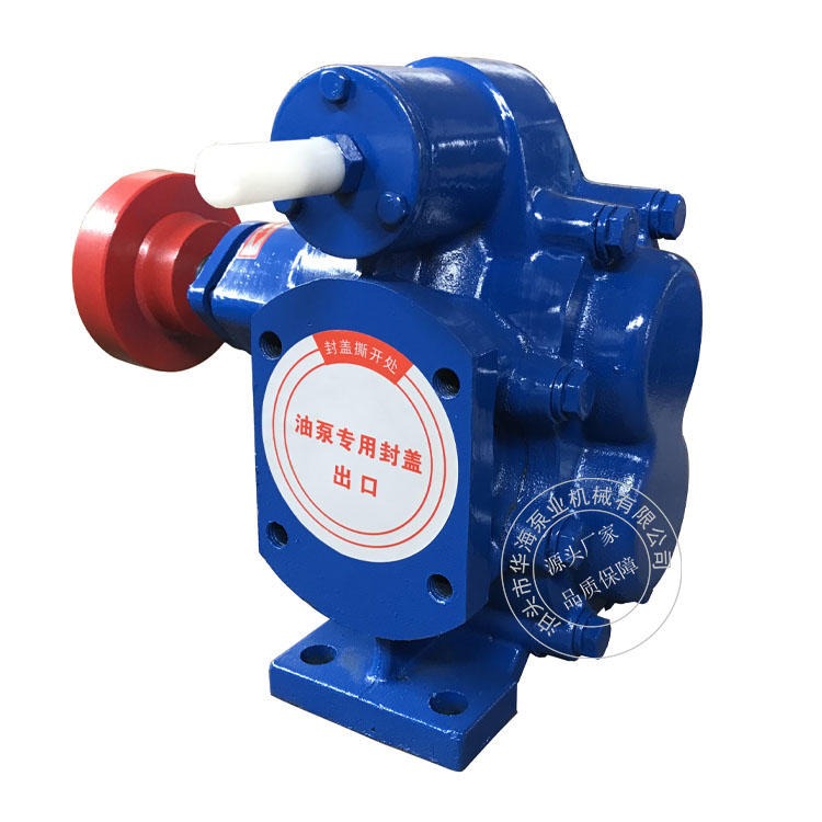 华海油泵厂家生产 KCB齿轮油泵 耐磨齿轮泵 KCB-300大流量口径70电动齿轮油泵图片