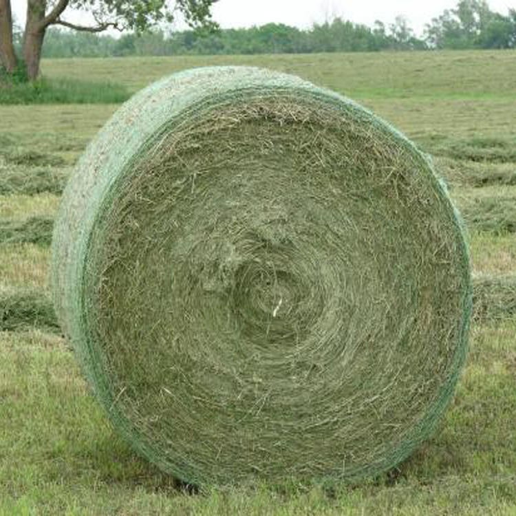 PE捆草网 小尺寸塑料秸秆打包网 畅达通定做各种规格牧草网