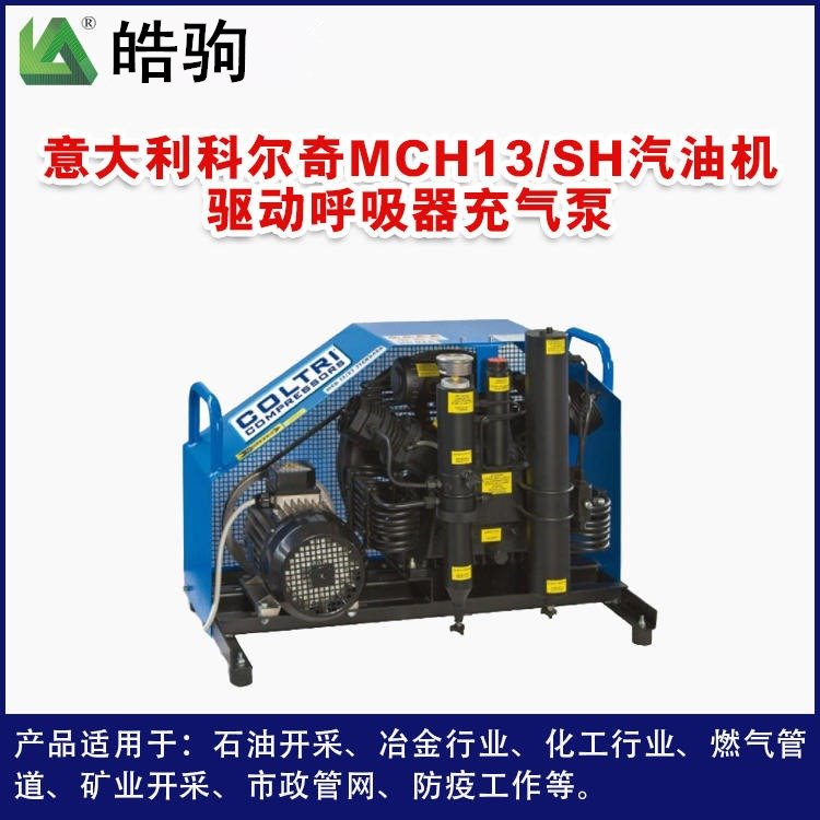 皓驹MCH13潜水呼吸器高压空气压缩机 30MPA充气泵 6.8L 9L空气呼吸器充气泵