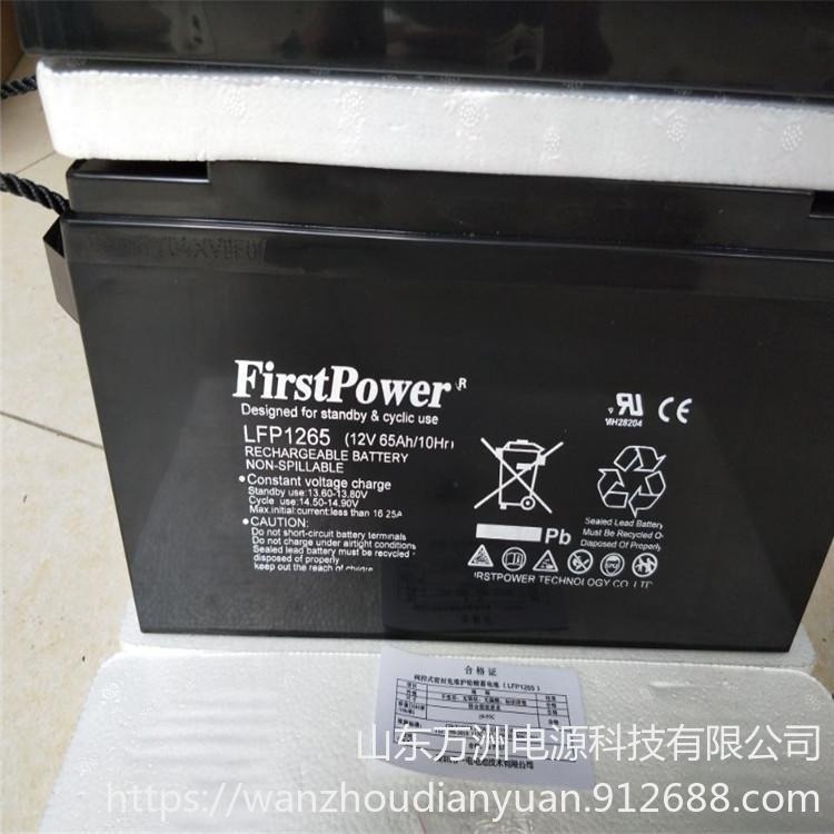 一电蓄电池FP1265  一电12V65AH 直流屏免维护电池储能应急备用电池 铅酸性电池