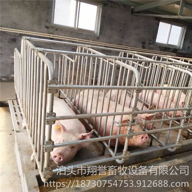 养猪设备 翔誉畜牧 复合板母猪定位栏 猪用定位栏 肥猪限位栏