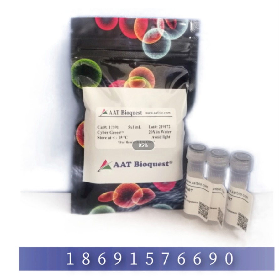 AAT Bioquest TMR神经酰胺高尔基染色试剂盒红色荧光 货号22752