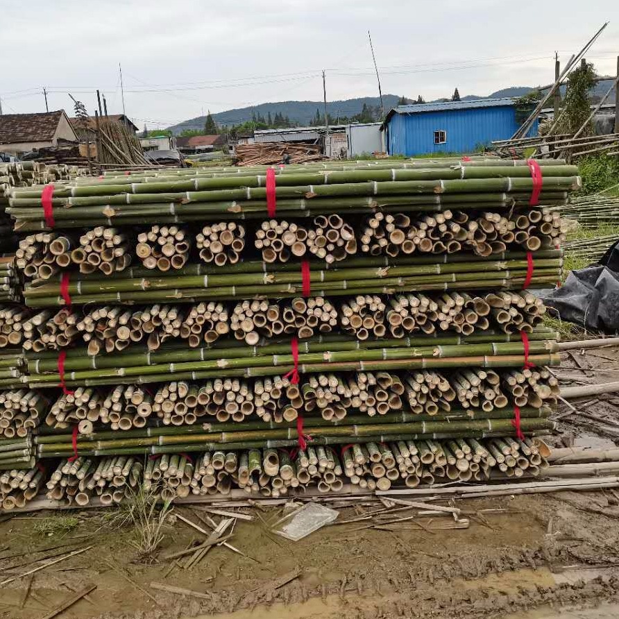 厂家自销竹杆 3米绿化树木支撑杆 防风支撑杆打桩 大棚支撑用竹桩长短粗细均可定制量大从优
