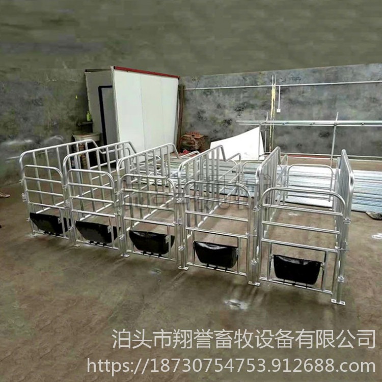 加厚定位栏产床 母猪分娩床 设备保育床厂家 翔誉