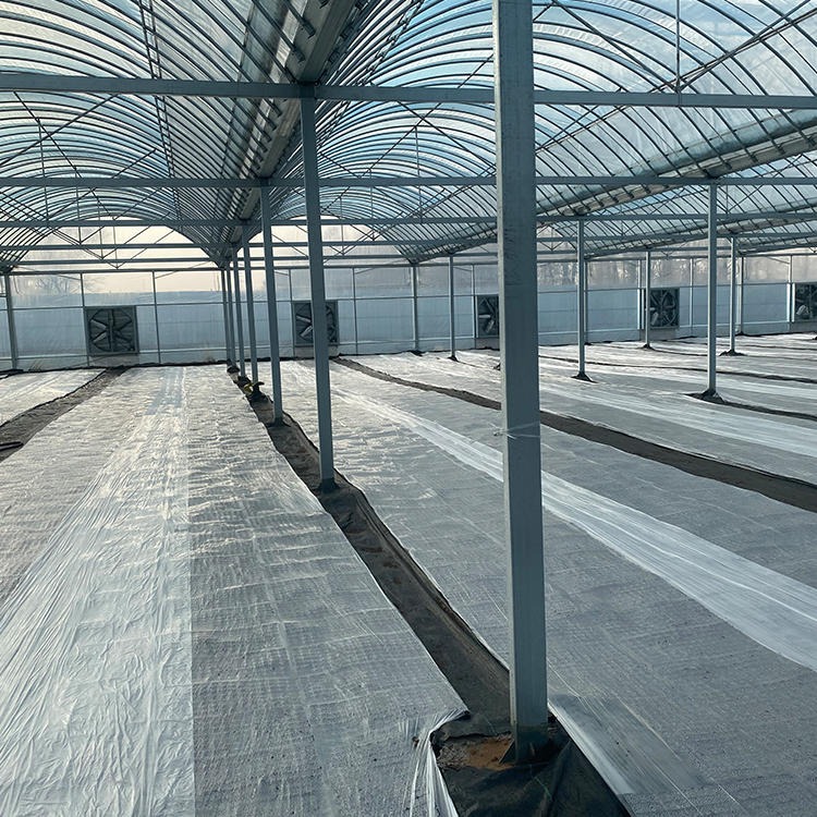 温室大棚生产厂家 设计安装连栋温室大棚 智能连栋温室大棚 品类齐全质量可靠