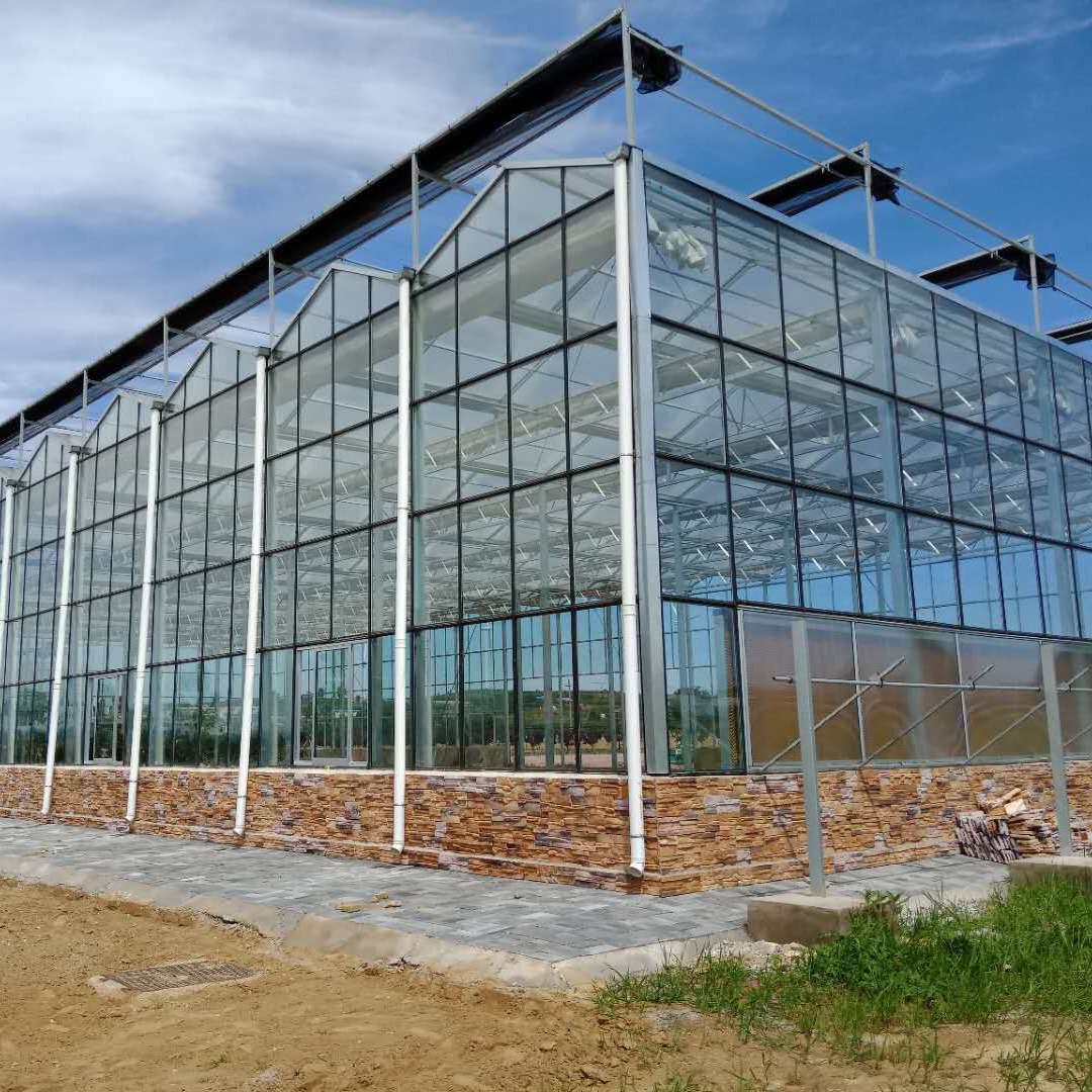 博伟 科研玻璃温室 建造玻璃联栋温室 玻璃大棚展厅 玻璃大棚