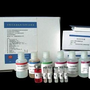 人胱天蛋白酶9试剂盒 Casp-9试剂盒 胱天蛋白酶9ELISA试剂盒 厂家直销
