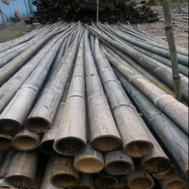京西竹业 批发2米-6米粗竹杆 5米粗竹竿6米粗竹竿 竹尾图片