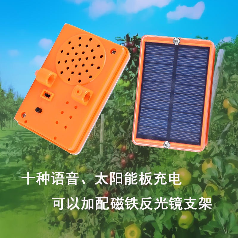 鼎诺 驱鸟器 风车式 闪光 语音型 太阳能充电 十种语音 户外使用