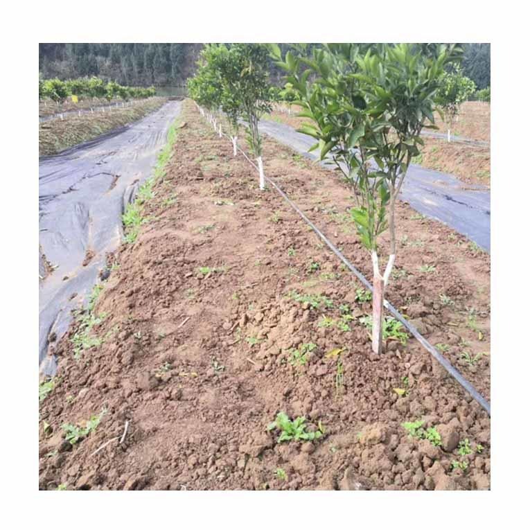 山地果园设计灌溉，黄山山地果园设计灌溉系统 枇杷果树灌溉技术丰盛源