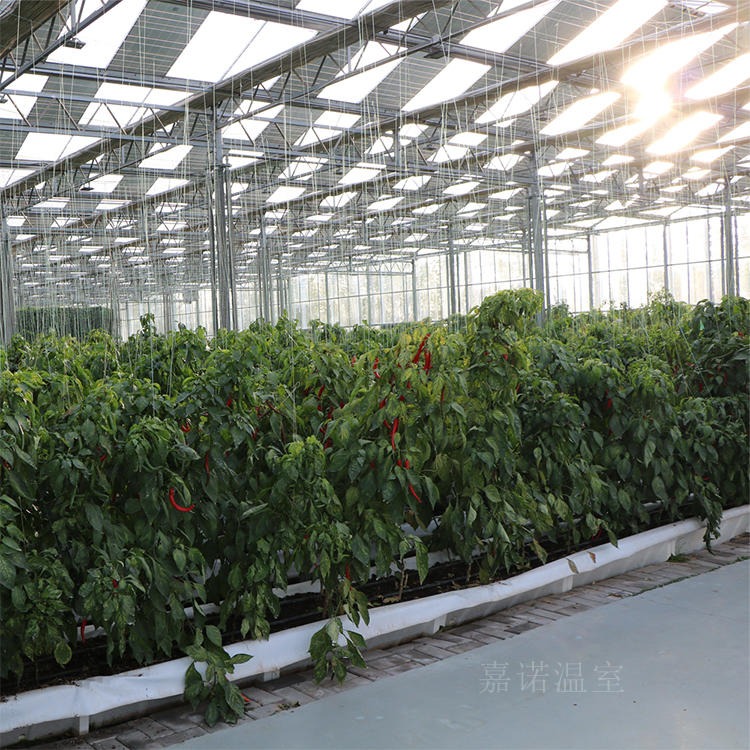 观光农业玻璃温室 花卉玻璃温室 美观大方坚固耐用 嘉诺建设厂家全国施工
