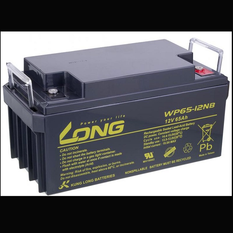 LONG蓄电池WP65-12 广隆蓄电池12V65AH机房UPS电源 消防配套专用LONG蓄电池
