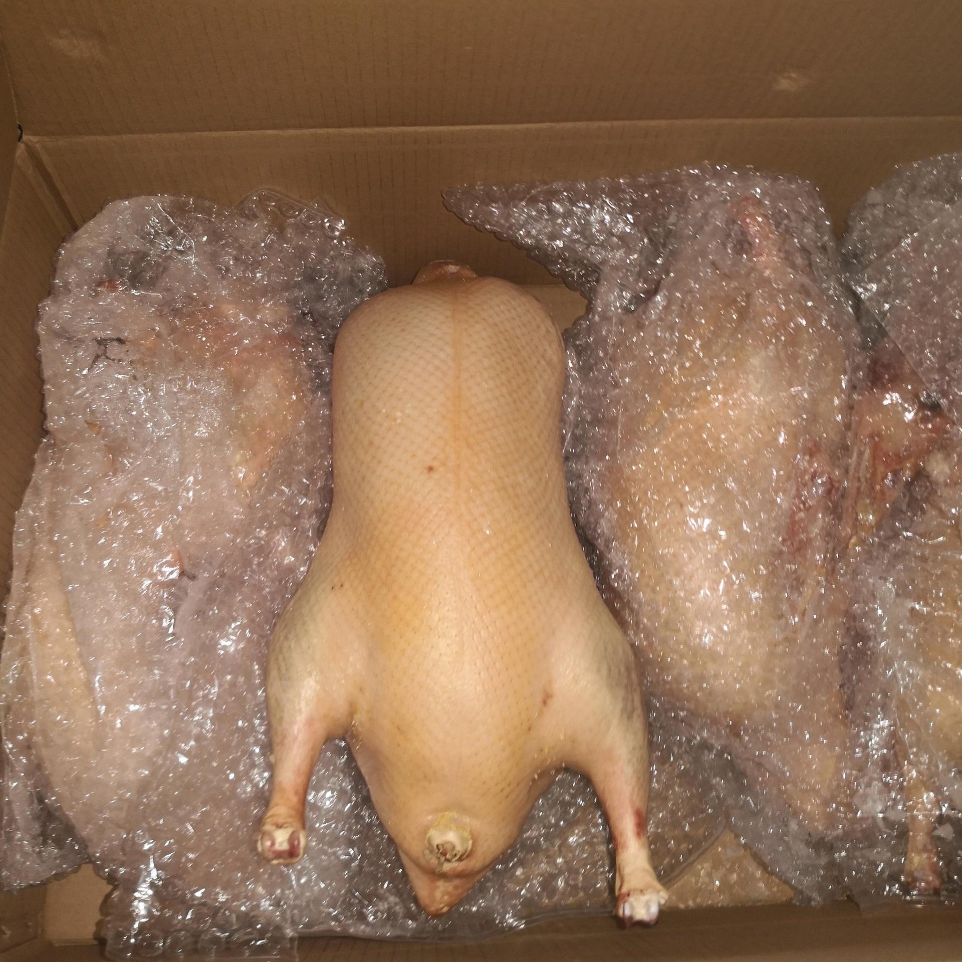 北京烤鸭鸭胚 鸭胚原料 樱桃谷四系 北京填鸭及鸭副产品