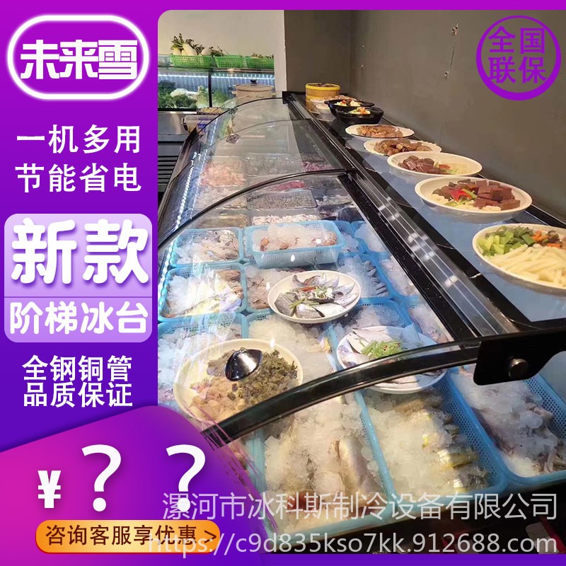 双温海鲜柜 商用展示柜 玻璃冰台 未来雪冷柜-WLX-SSG-453