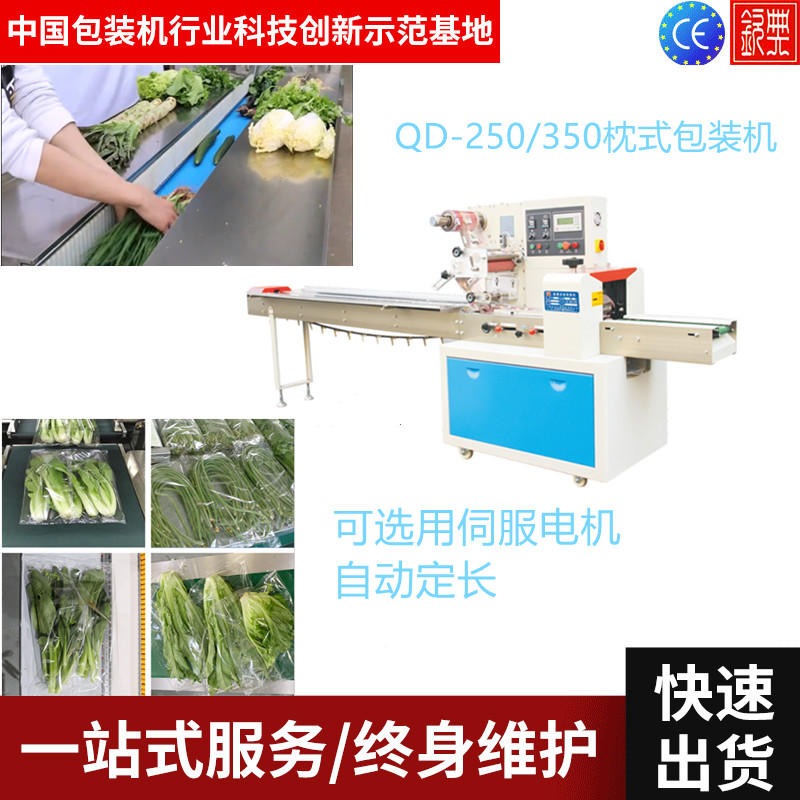 钦典QD-250多功能三伺服枕式包装机 全自动蔬菜包装机 水果包装机设备