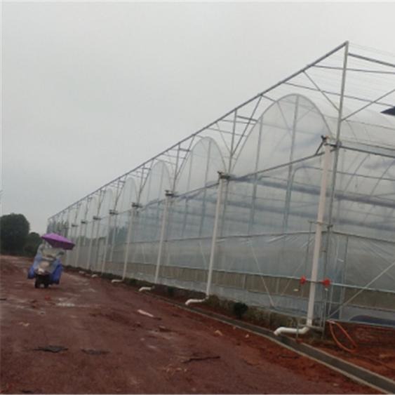 青州鑫泽农业温室厂家 温室大棚价格  薄膜花卉温室 品质可靠  欢迎订购