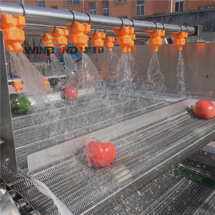 番茄清洗机 华邦洗菜机 果蔬清洗生产线 量产效率高