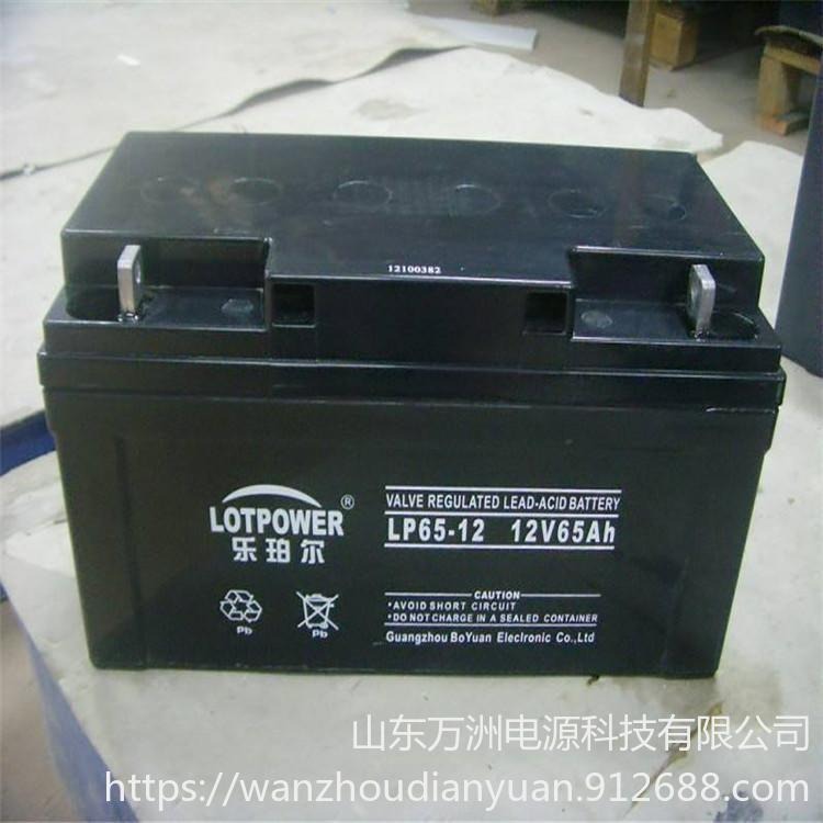乐珀尔蓄电池LP65-12乐珀尔12V65AH太阳能储能应急电池