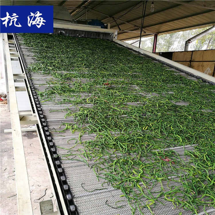 杭海机械 多层网带烘干机 农产品烘干设备 豆角烘干机生产厂家