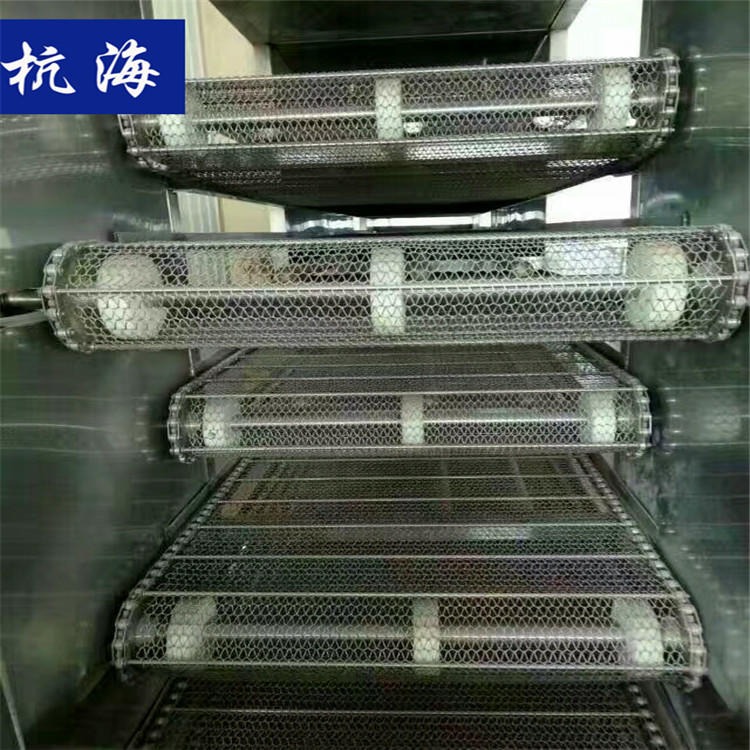 隧道式柠檬烘干机 烘干设备 杭海机械 网带烘干机生产厂家