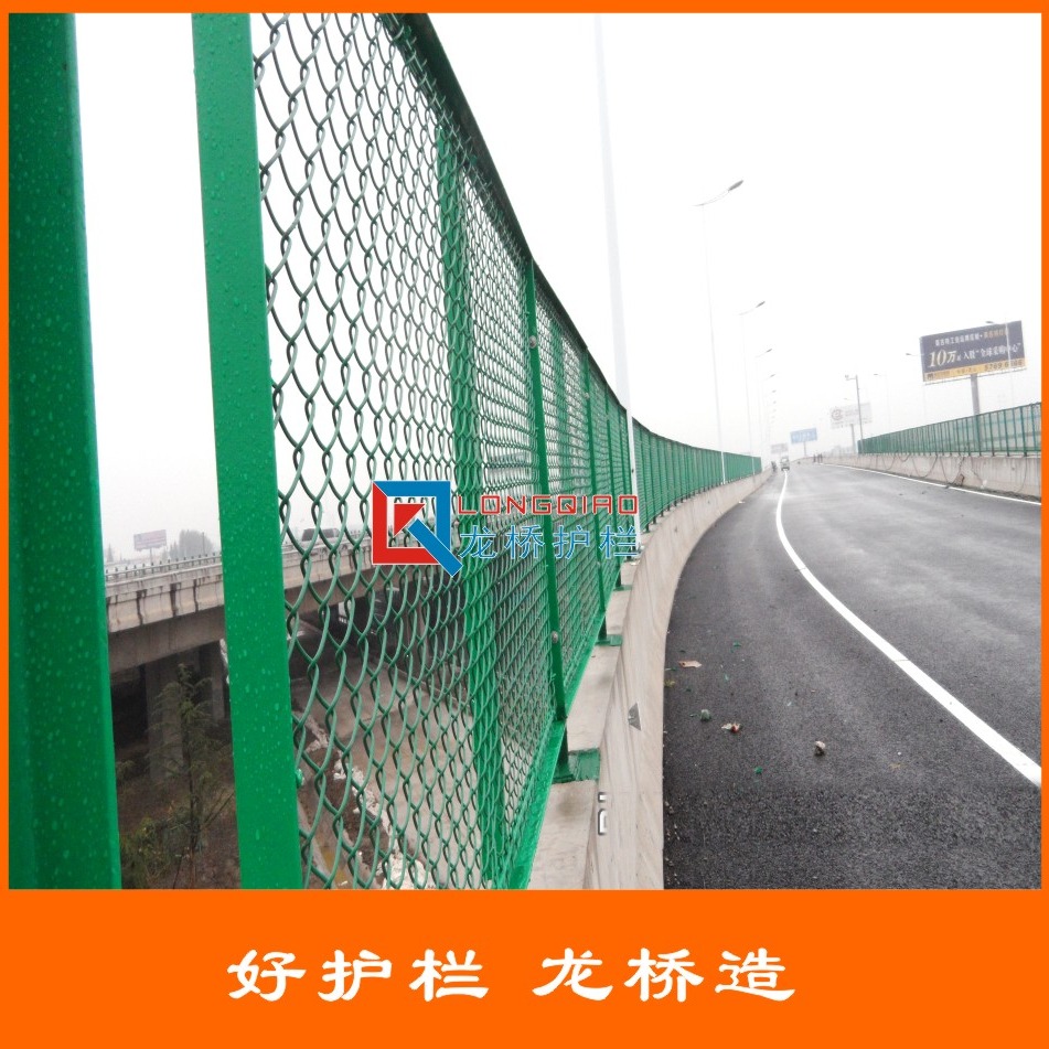 南京高架桥防抛网 南京公路桥梁防护网 龙桥厂家订制