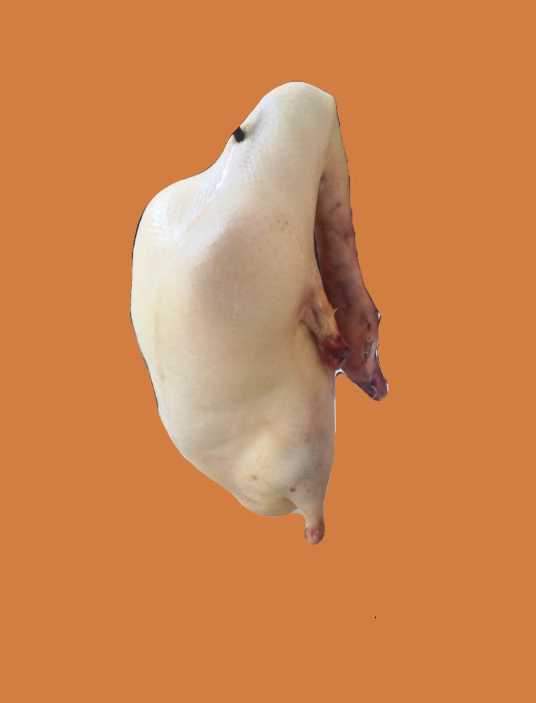 北京烤鸭坯四系鸭坯现货批发冷冻净膛鸭