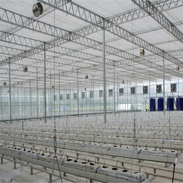 智能玻璃温室 玻璃温室 科技玻璃温室大棚安装 博伟