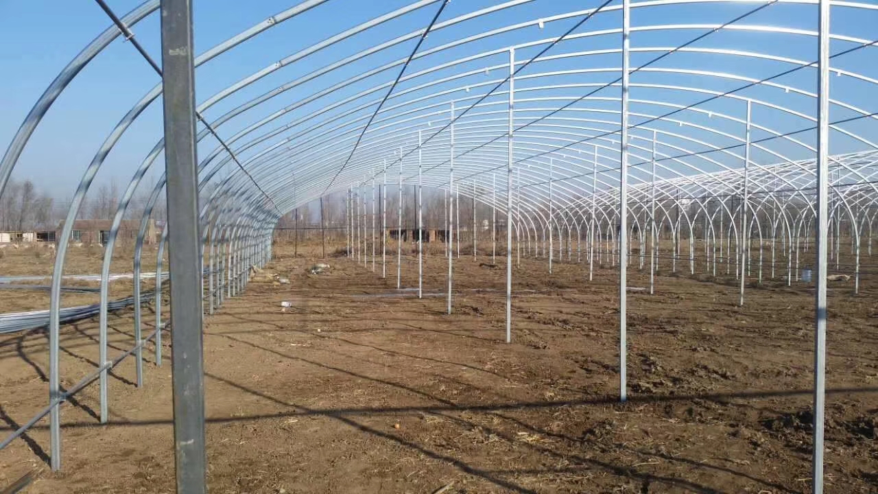 洲鹏农业 岳阳  农业温室  玻璃温室  质量保证