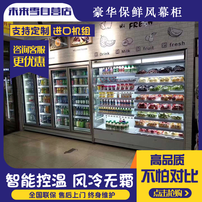 立式饮料冷藏冷冻柜饮料水果冷冻柜商用水果保鲜柜未来雪图片