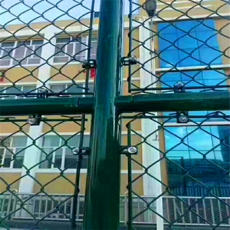 泰亿销售 球场护栏网 锌钢护栏网 桃型柱护栏网