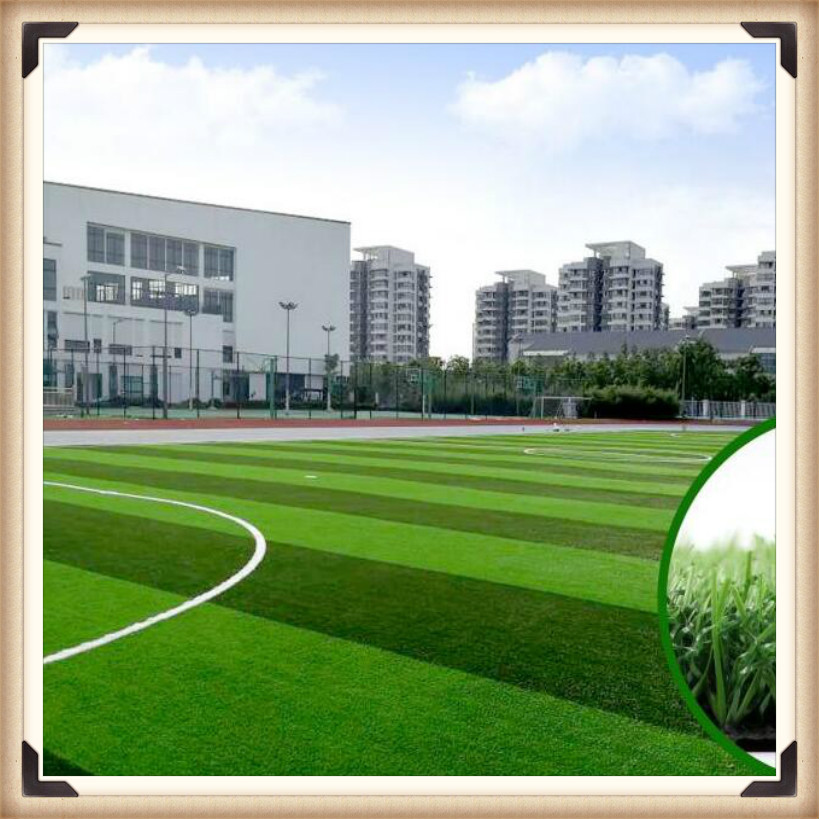 唐山足球场人造草坪 球场人工草坪 运动场足球场草坪