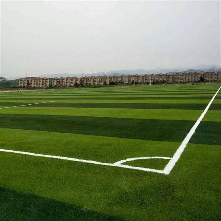荆州 幼儿园人造草坪 小学操场人造草皮 门球场人造草坪图片