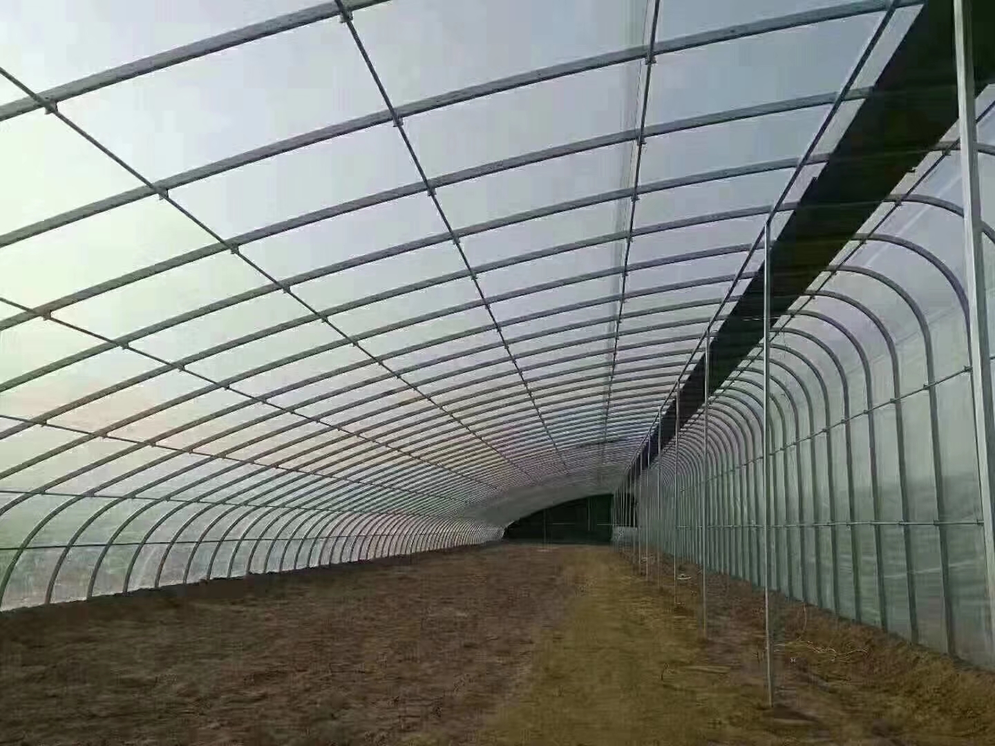 洲鹏农业  温室配件   大棚膜   质量保证  乌鲁木齐