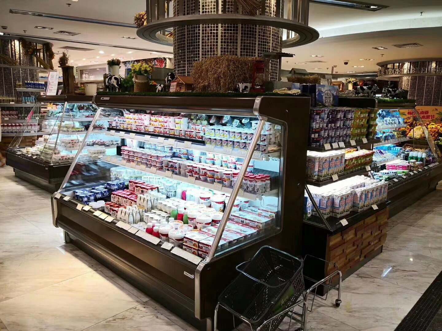 商用超市立式冷柜立式点菜冰柜低温奶柜商用冰柜未来雪图片