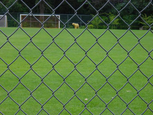 网球场防护网生产安装售后一休 体育场围栏网