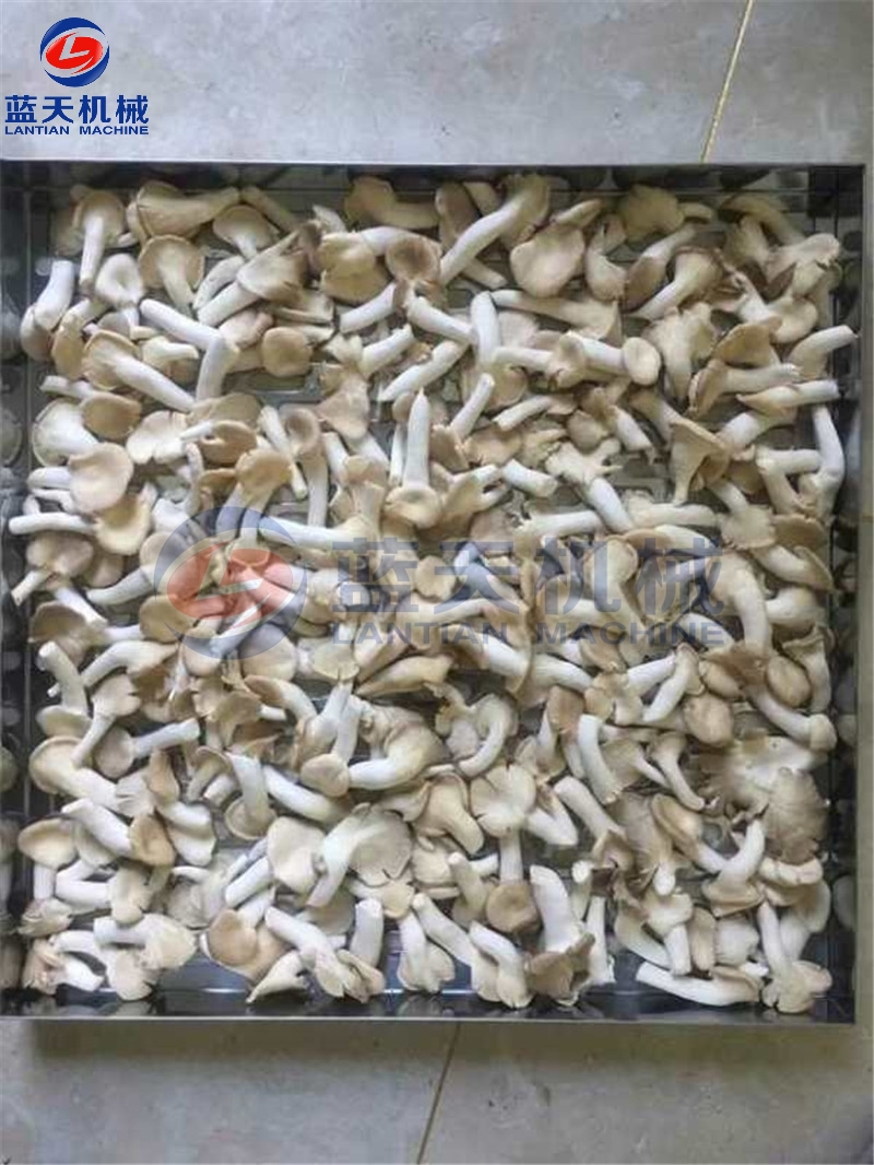 河南香菇烘干机组装 香菇烘干箱价格 野生蘑菇烘干机 香信烘干机设备价格
