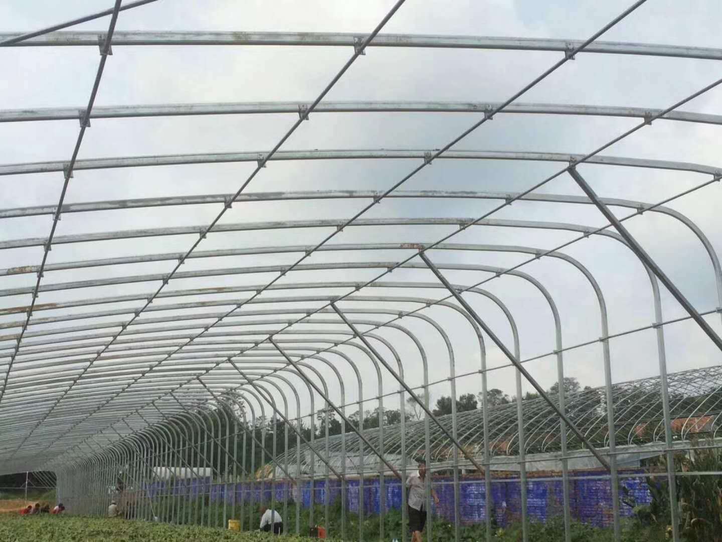 洲鹏农业  大棚骨架   玻璃温室   专业生产线  抚顺