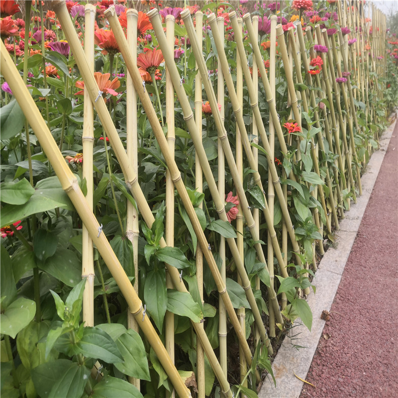 湖南隆回紫竹篱笆碳化木质围栏100公分