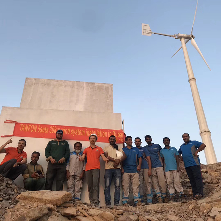 苍梧晟成风力发电机 山区养殖用 10千瓦风力发电机图片