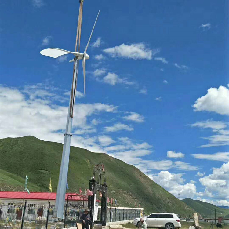 陕西红灯笼式风力发电机 蓝润草原用风力发电机 质优价低