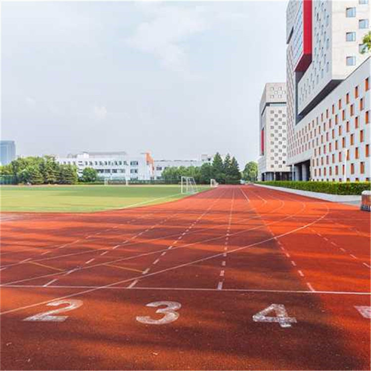 南阳新老国标塑胶跑道,400米塑胶跑道地面,价位合适,