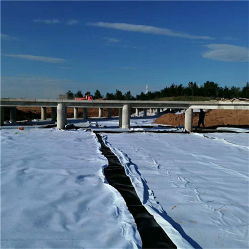 聚酯复合膜 河道治理复合土工膜 润业土工防渗土工布焊接方法